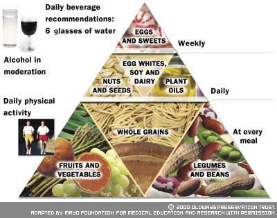 animal food chain pyramid. Vegetarian Diet Pyramid: